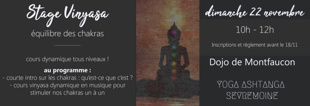 Retrouvez-moi au sein de l'association Yoga AshtangaSèvremoine pour un stage Vinyasa axé sur les chakras ! Lors du stage, je vous expliquerai ce qui se cache derrière ce mot chakra, puis nous pratiquerons un vinyasa dynamique en musique !